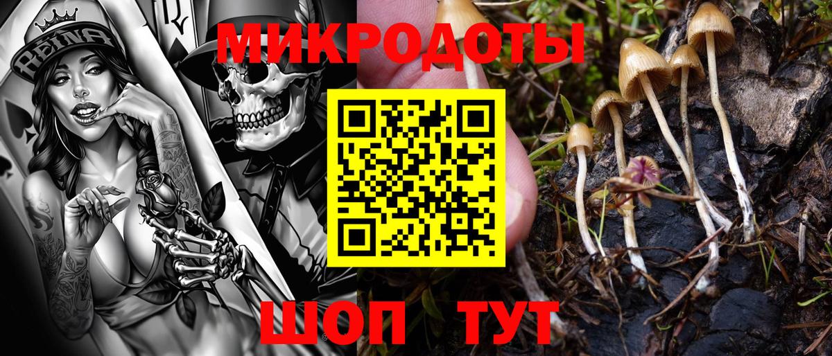 Псилоцибиновые грибы Psilocybe  хочу   Северодвинск  Вход с VPN 