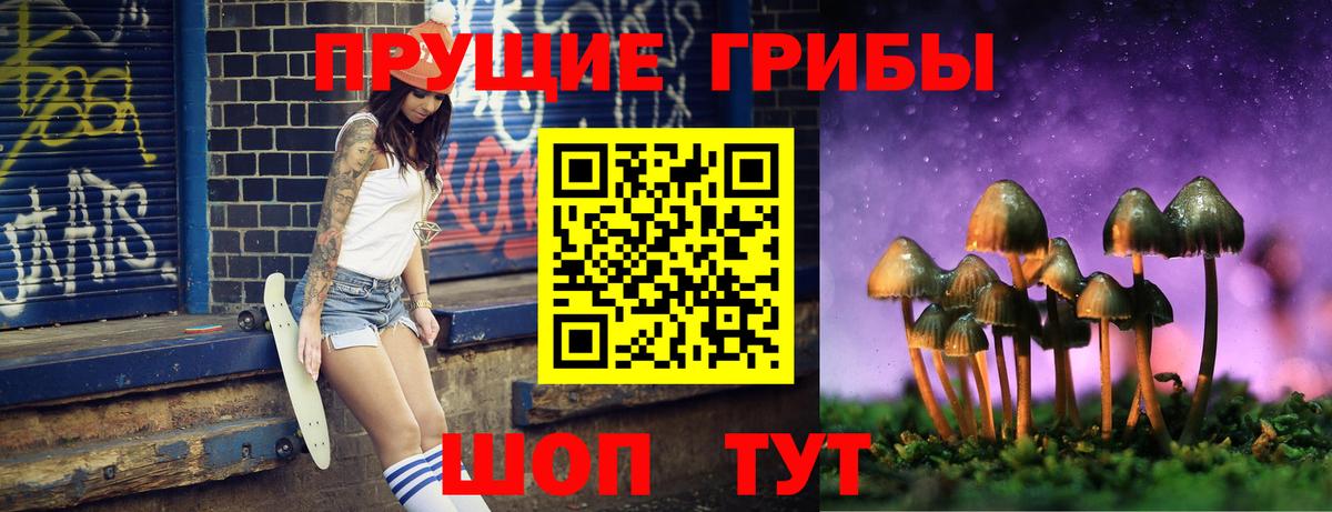 Псилоцибиновые грибы Cubensis Северодвинск